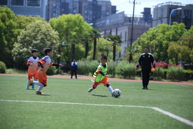 杨鸣愤怒冲进场内大骂裁判 连吃两T被驱逐出场